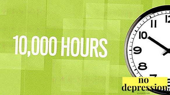 Zasada 10 000 godzin